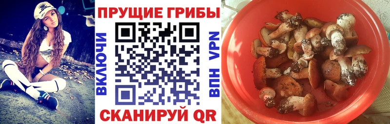 Галлюциногенные грибы Cubensis  Купить  Липки 